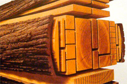 Directorio de Aserraderos de Madera en España Directorio de Aserraderos de Madera en España