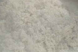 Pulpa para Papel
