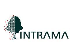 Intrama - Industrial Transformadora de Madera - Fuenlabrada